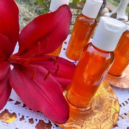 R&h 民宿 Slankamen Vinogradi