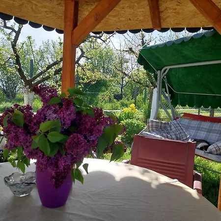 R&h Slankamen Vinogradi